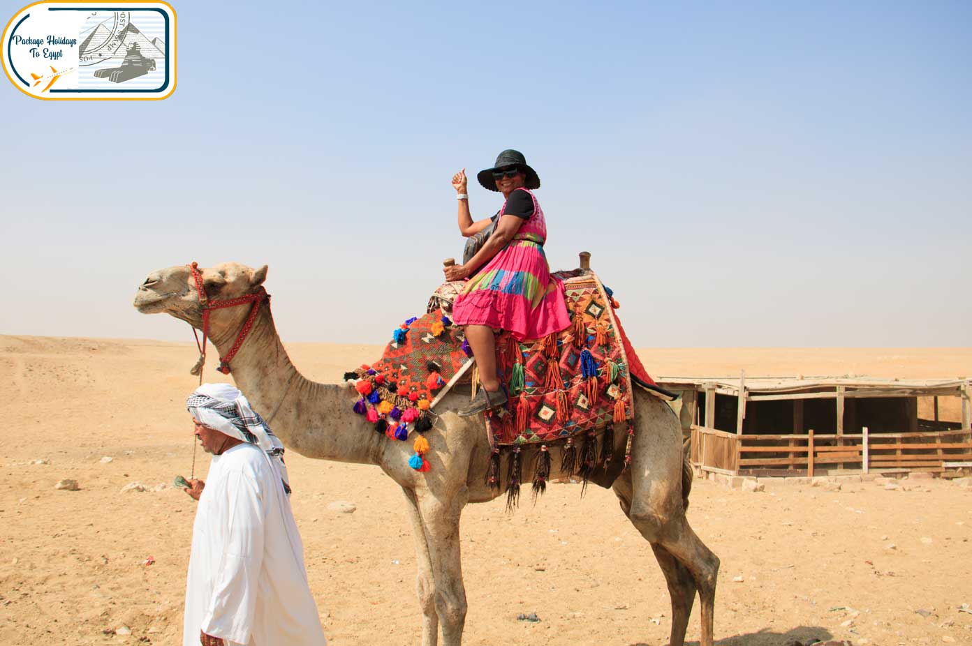 12 Days Christmas holidays to Egypt