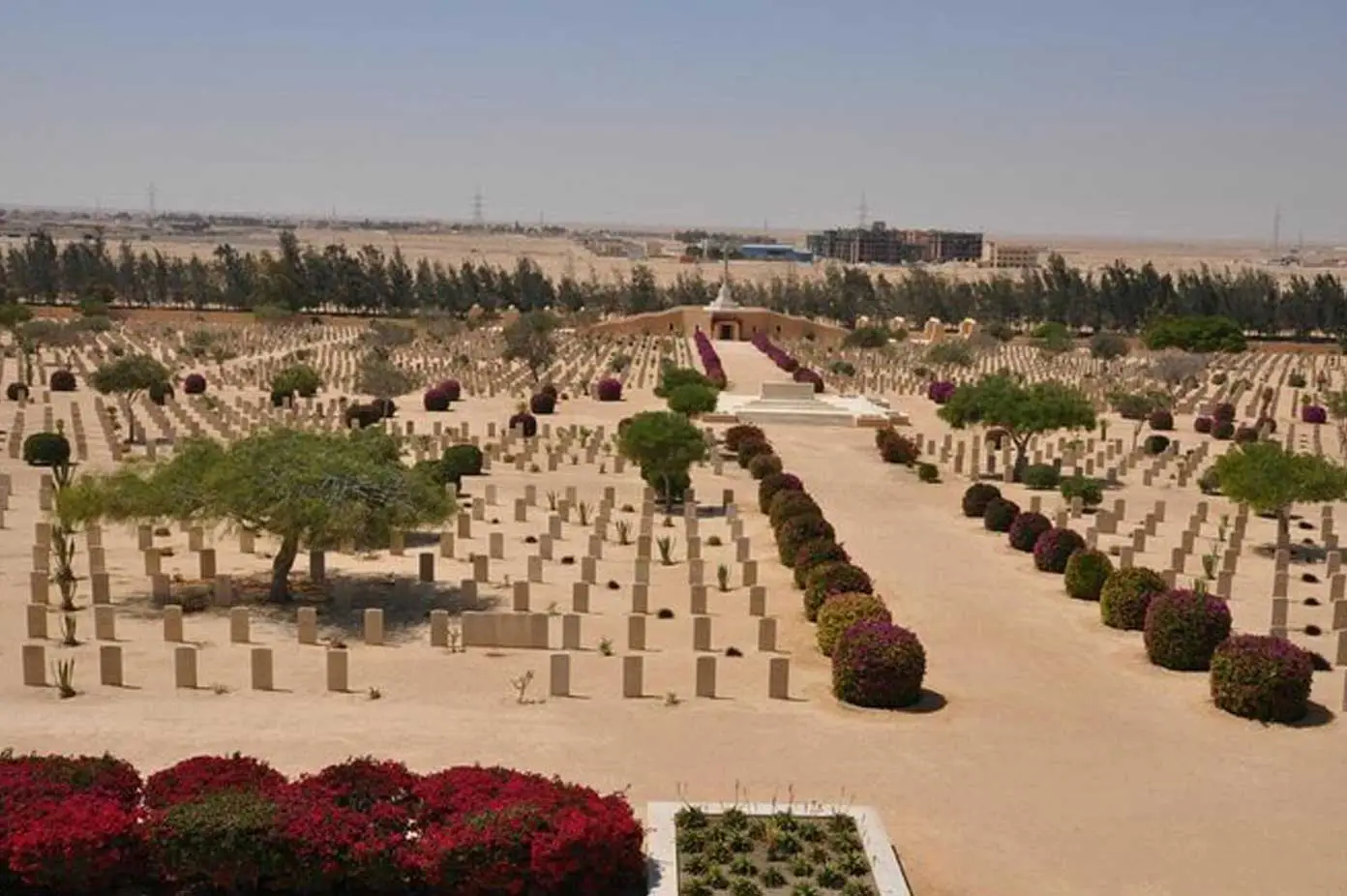 El Alamein Day Tour from Cairo